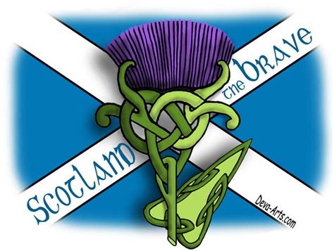 Scottish flag with the thistle | Celtic, Celtic designs, Scottish