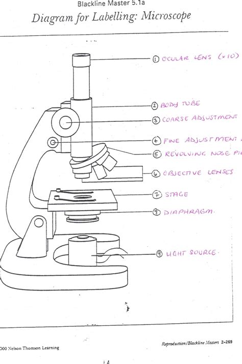 Microscope Parts Diagram