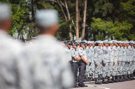 Estos Congresos Locales Ya Aprobaron La Reforma A La Guardia Nacional