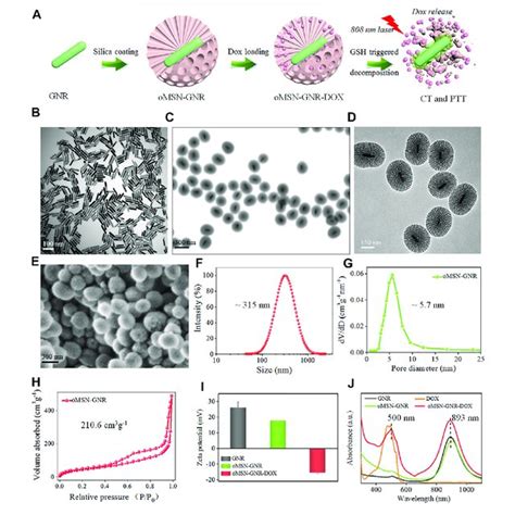 Schematic Illustration Of Omsn Gnr Dox Fabrication And Gsh Triggered