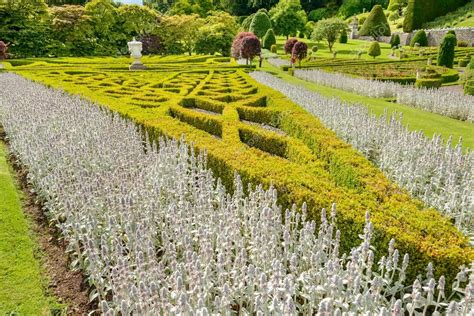 Drummond Castle Gardens — Stock Photo © Cornfield #86906584