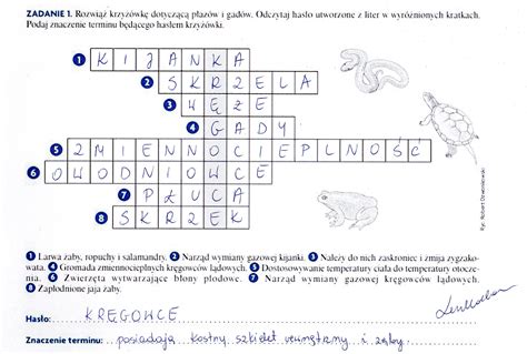 rozwiąż krzyżówkę dotyczące gadów i płazów odczytaj haslo utworzone z