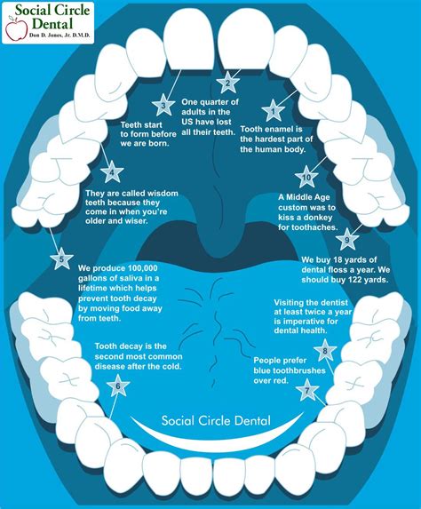 Dental Infographic Dental Facts Dental Emergency Dentist