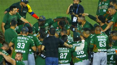 Rugen Melenudos Leones Campeones De La Lmb