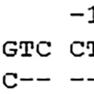 Alignment Of The Sequence Of Exon Of Hlab With The