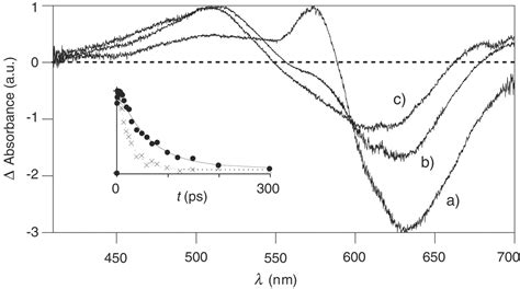 Photoproduction Of Proton Gradients With π Stacked Fluorophore