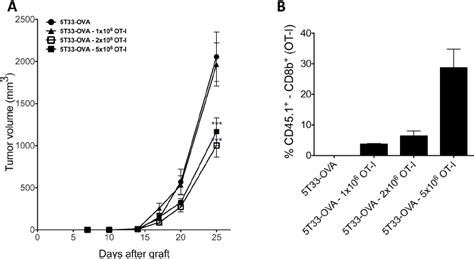 Adoptive Ot I T Cell Transfer A Dose Response Of T Ova Tumor