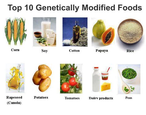 GMOs and Zambia - Ecology and Jesuits in Communication