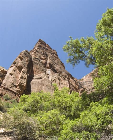 Rock Climbing Zion National Park - Guided Tours | 57hours