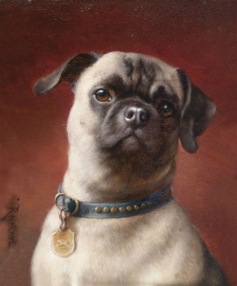 What pugs used to look like before inbreeding : r/pics