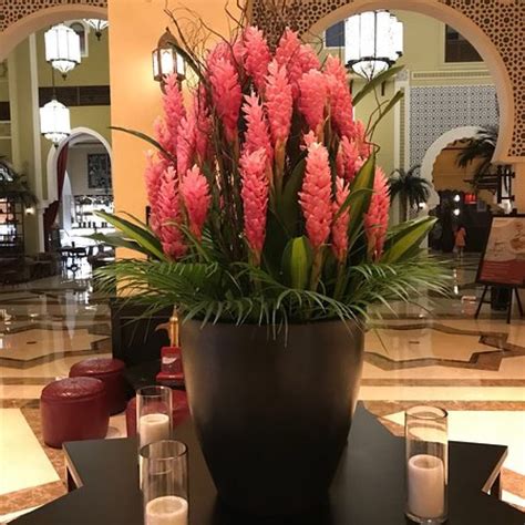 Flower Show at Ibn Battuta Mall Dubai 2019, United Arab Emirates