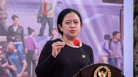 Dinilai Kaku Lembaga Survei Senior Pdip Puan Maharani Terbuka Dan