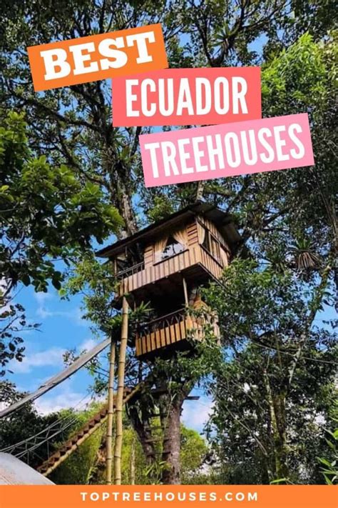 4 Best Ecuador Treehouse Rentals 2024 Top Treehouses