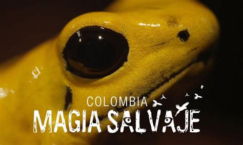 Reseñas Colombia Magia Salvaje El Documental Sobre Su Biodiversidad