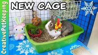 diy rabbit cage designs - Woodworking Challenge