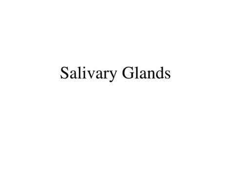 Ppt Salivary Glands Powerpoint Presentation Free Download Id6727811