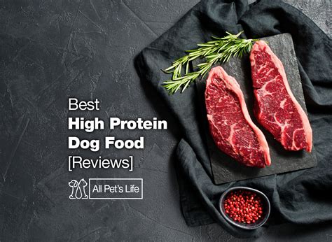 10 Best High Protein Dog Food Options [2023] - All Pet's Life