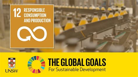 Sustainable Development Goal 12 Responsible Consumption And