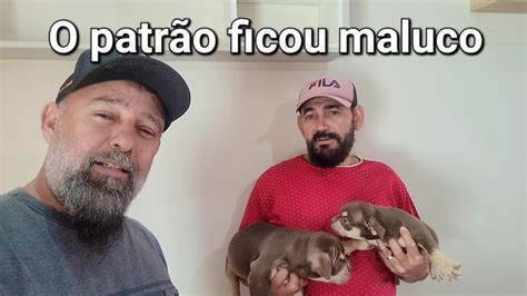 Mega promoção do dia das mães acm Eusébio exótic bully YouTube