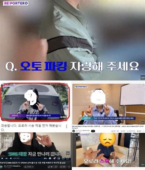 7000억 투자해 신차 내놨는데 남혐르노코리아 공식 사과에도 논란 확산 아주경제