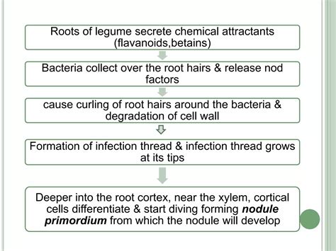 Biological Nitrogen Fixation Ppt