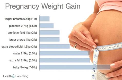 Pregnancy Gain Weight By Week Encycloall