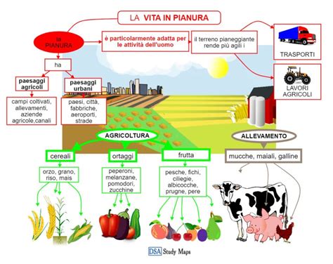 La Vita In Pianura Mappa Concettuale