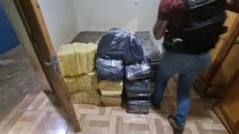 Senad Confisca Casi 300 Kilos De Marihuana En Una Casa De Pjc Última