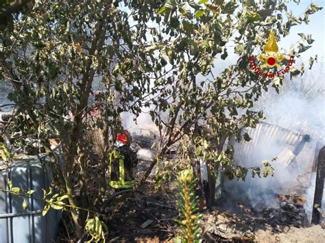 Rufina Incendio Di Sterpaglie E Baracche Morti Alcuni Polli