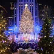 Nyc Dyker Heights And Nyc Holiday Lights Tour By Luxury Bus Getyourguide