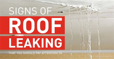 Signs Of Roof Leaking That You Should Pay Attention To Roof Repair