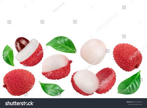 5 340 Litschie 이미지 스톡 사진 및 벡터 Shutterstock