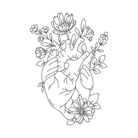 Premium Vector Illustration Anatomical Heart With Flowers