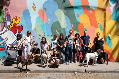 Ruta De Arte Urbano Por Lavapi S Madrid Con Mascota Gu A Repsol