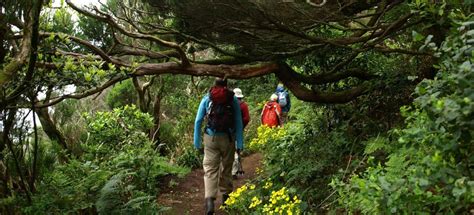 Excursions Dune Journ E De La Gomera Getyourguide