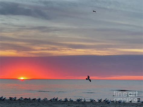 Hope For The Day Photograph By Elaine Sapp Fine Art America