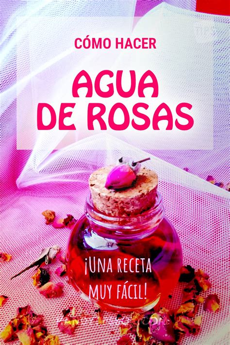 Cómo hacer agua de rosas Una receta muy fácil