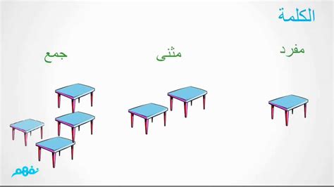 مدوّنة ماري القصّيفي للغة العربيّة اختبار في القواعد المثنّى والجمع