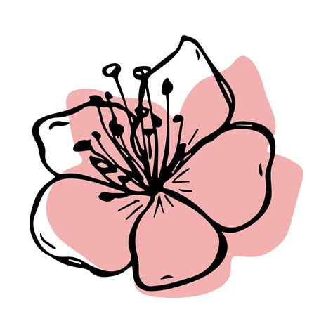 Vector cherry flower clipart. Hand drawn blossom illustration 10594921 ...