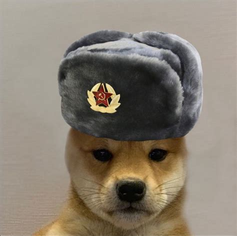 Dog with Hat | Cute Animal Drawing