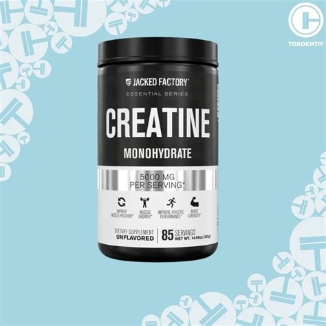 Creatine Cycle Is It Necessary For Optimal Results