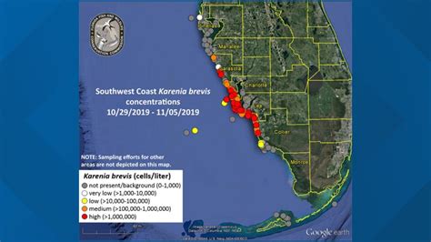 Red tide florida beach map - mumuhospital