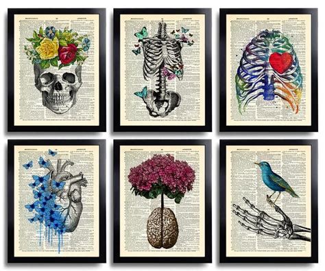 Anatomy Art Print Set 6 Medical Wall Art Anatomical Poster Home Decor