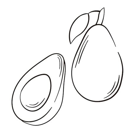 Aguacate Fruta Icono Contorno Comida Fruta Vector Dibujado A Mano