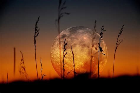 Sunset Wallpaper Moon Landscape Sky Hd Wallpaper Wallpaper Flare