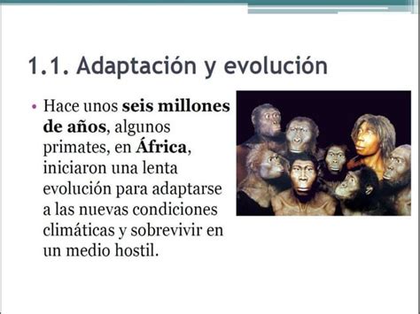 Tema La Prehistoria El Paleol Tico Primera Parte Ppt