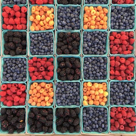 Berries Free Stock Photo - Public Domain Pictures