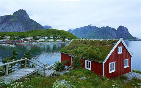 Red House Covered With Moss Lofoten Puzzle Factory