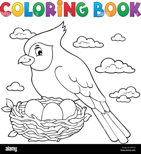 Livre De Coloriage Oiseau Sujet 3 Eps10 Vector Illustration Image