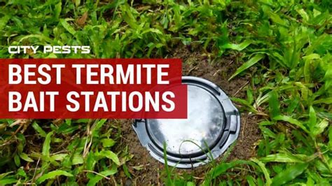 Best Termite Bait Stations 2025 | How Effective Are They?